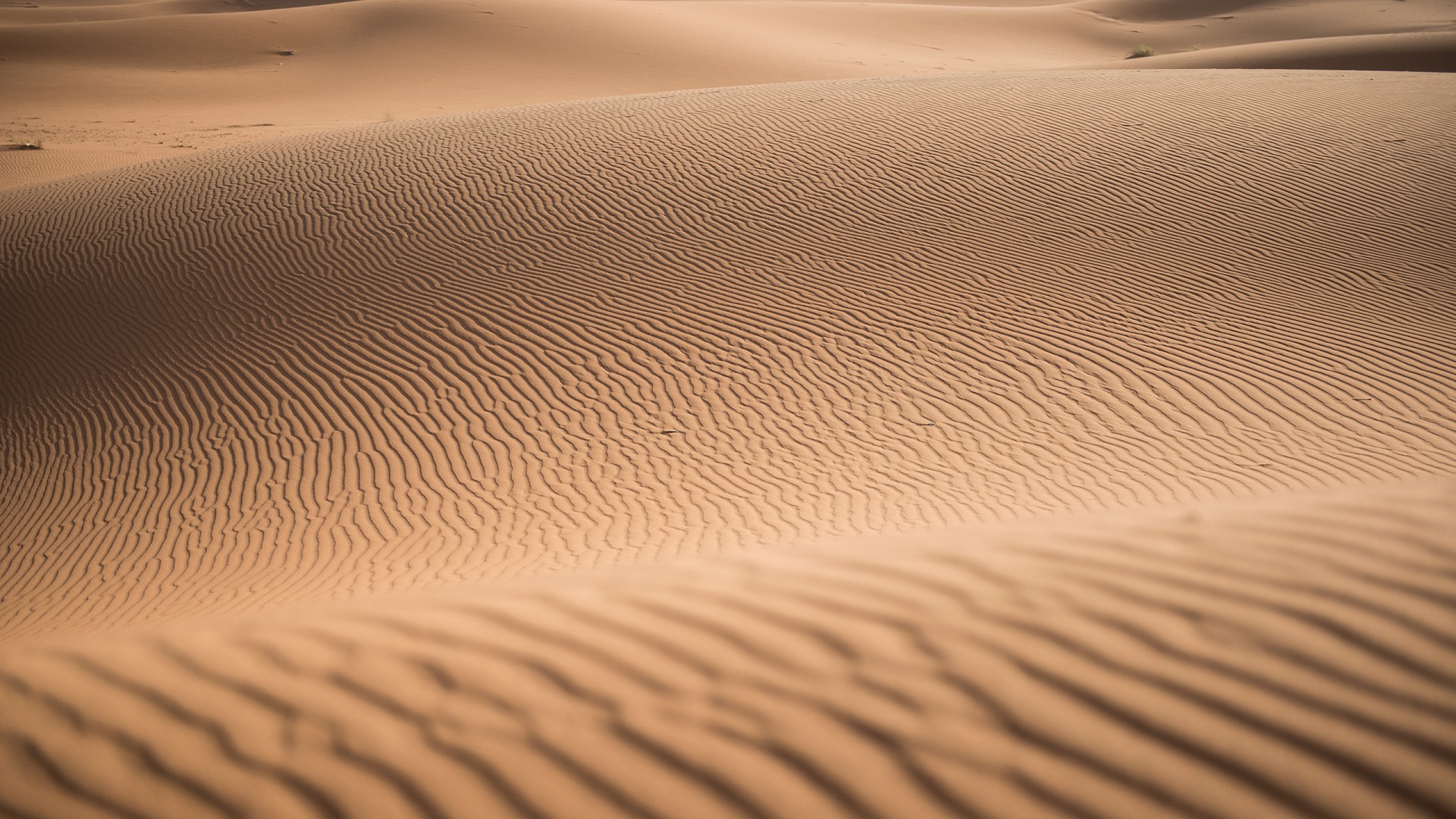 8_maroc_2014_9074_merzouga_z